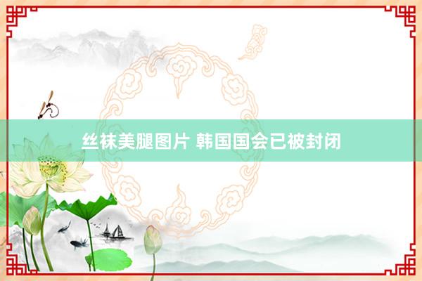 丝袜美腿图片 韩国国会已被封闭