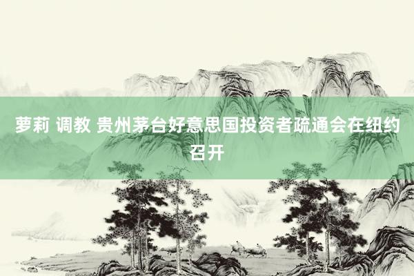 萝莉 调教 贵州茅台好意思国投资者疏通会在纽约召开