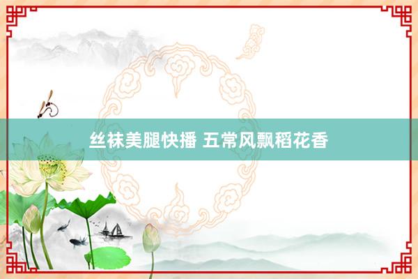 丝袜美腿快播 五常风飘稻花香