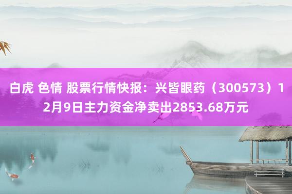 白虎 色情 股票行情快报：兴皆眼药（300573）12月9日主力资金净卖出2853.68万元