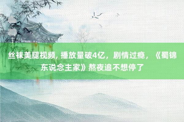 丝袜美腿视频， 播放量破4亿，剧情过瘾，《蜀锦东说念主家》熬夜追不想停了