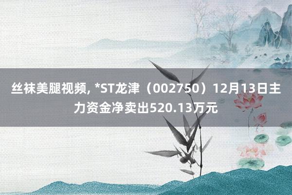 丝袜美腿视频， *ST龙津（002750）12月13日主力资金净卖出520.13万元