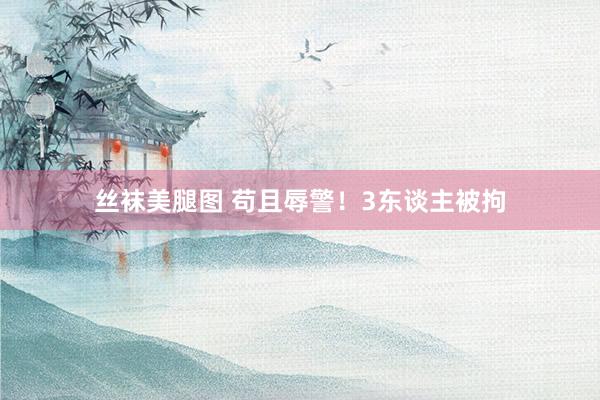 丝袜美腿图 苟且辱警！3东谈主被拘