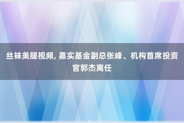 丝袜美腿视频， 嘉实基金副总张峰、机构首席投资官郭杰离任