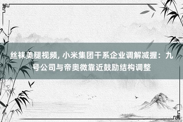 丝袜美腿视频， 小米集团干系企业调解减握：九号公司与帝奥微靠近鼓励结构调整