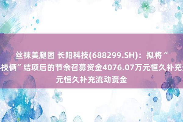 丝袜美腿图 长阳科技(688299.SH)：拟将“研发中心技俩”结项后的节余召募资金4076.07万元恒久补充流动资金