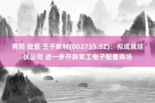 男同 做爱 王子新材(002735.SZ)：拟成就结伙公司 进一步开辟军工电子配套商场