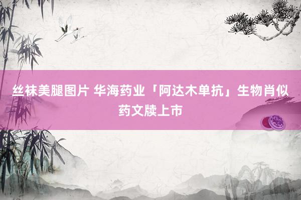 丝袜美腿图片 华海药业「阿达木单抗」生物肖似药文牍上市