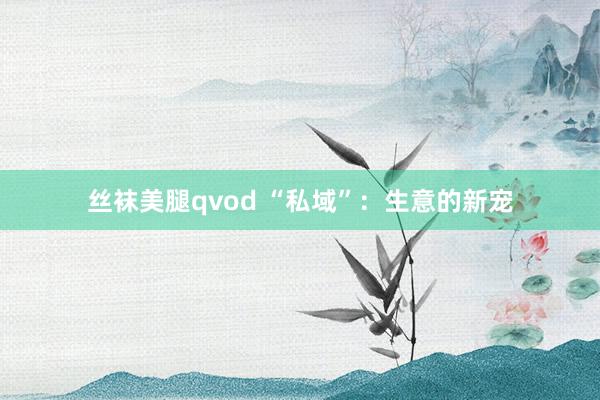 丝袜美腿qvod “私域”：生意的新宠