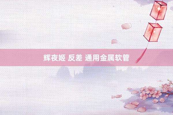辉夜姬 反差 通用金属软管