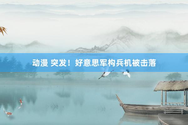 动漫 突发！好意思军构兵机被击落