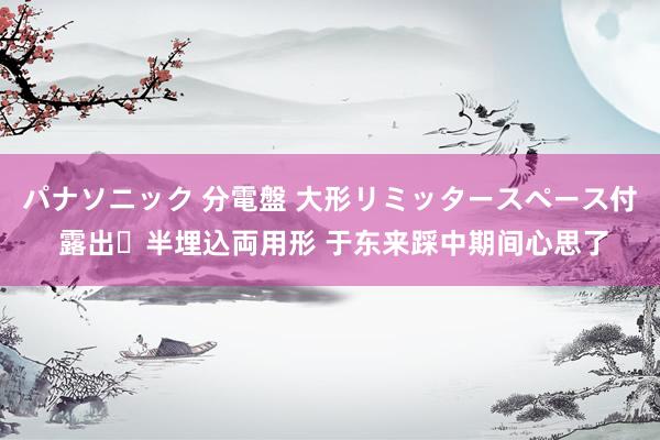 パナソニック 分電盤 大形リミッタースペース付 露出・半埋込両用形 于东来踩中期间心思了