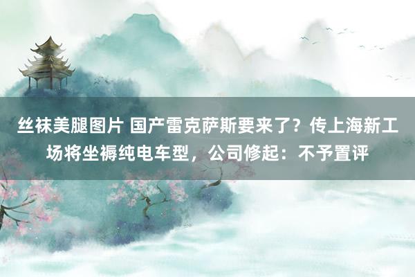 丝袜美腿图片 国产雷克萨斯要来了？传上海新工场将坐褥纯电车型，公司修起：不予置评