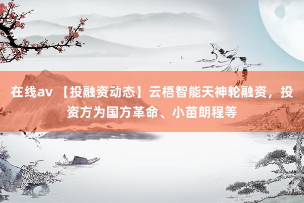 在线av 【投融资动态】云梧智能天神轮融资，投资方为国方革命、小苗朗程等