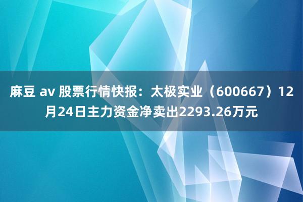 麻豆 av 股票行情快报：太极实业（600667）12月24日主力资金净卖出2293.26万元