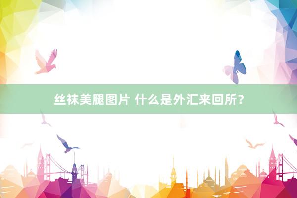 丝袜美腿图片 什么是外汇来回所？