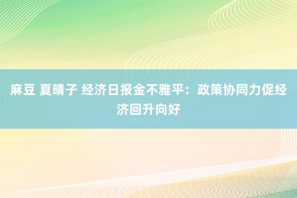 麻豆 夏晴子 经济日报金不雅平：政策协同力促经济回升向好