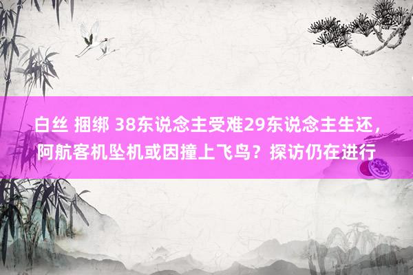 白丝 捆绑 38东说念主受难29东说念主生还，阿航客机坠机或因撞上飞鸟？探访仍在进行