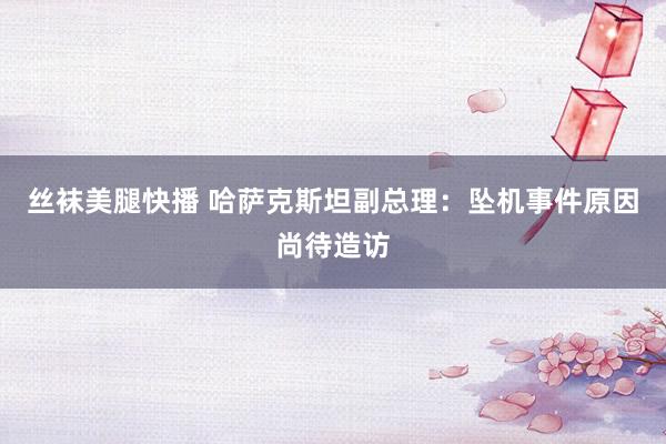 丝袜美腿快播 哈萨克斯坦副总理：坠机事件原因尚待造访