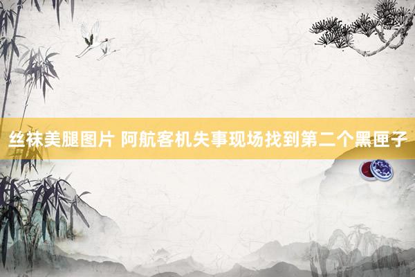 丝袜美腿图片 阿航客机失事现场找到第二个黑匣子