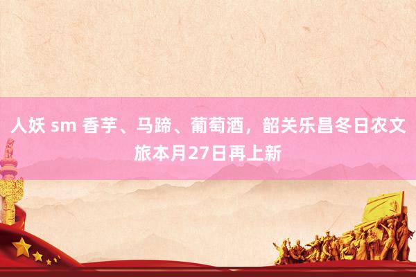 人妖 sm 香芋、马蹄、葡萄酒，韶关乐昌冬日农文旅本月27日再上新