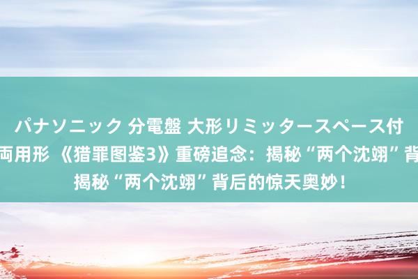 パナソニック 分電盤 大形リミッタースペース付 露出・半埋込両用形 《猎罪图鉴3》重磅追念：揭秘“两个沈翊”背后的惊天奥妙！