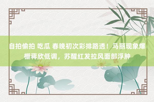 自拍偷拍 吃瓜 春晚初次彩排路透！马丽现象爆棚蒋欣低调，苏醒红发拉风面部浮肿
