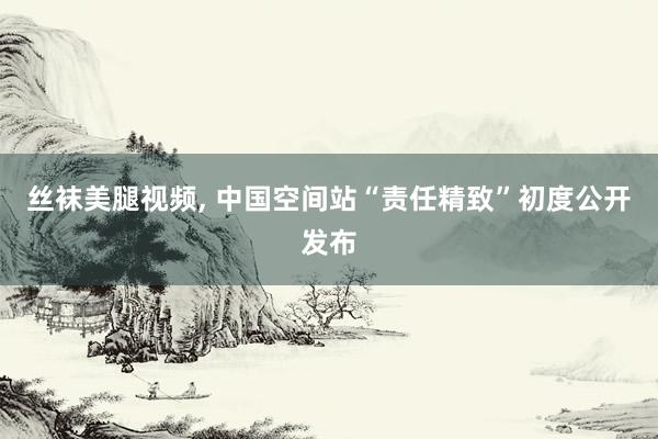丝袜美腿视频， 中国空间站“责任精致”初度公开发布