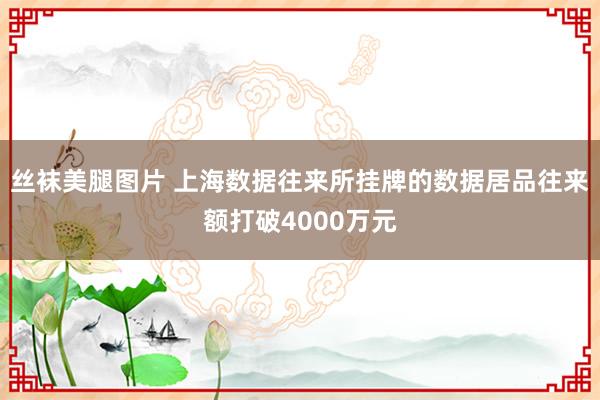 丝袜美腿图片 上海数据往来所挂牌的数据居品往来额打破4000万元