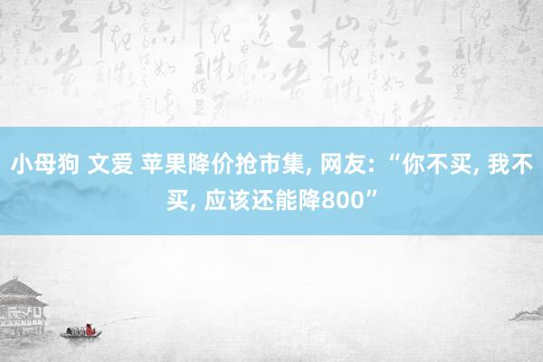 小母狗 文爱 苹果降价抢市集， 网友: “你不买， 我不买， 应该还能降800”