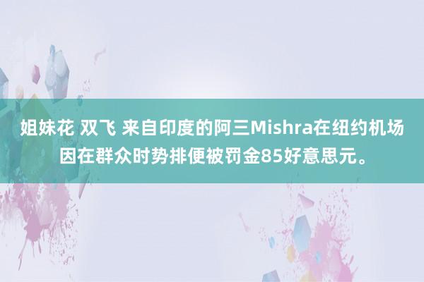 姐妹花 双飞 来自印度的阿三Mishra在纽约机场因在群众时势排便被罚金85好意思元。