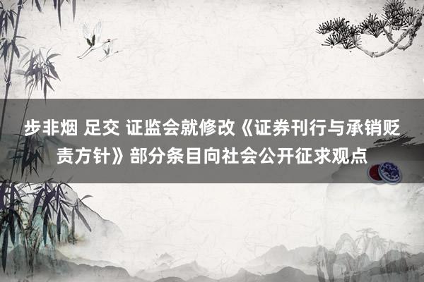 步非烟 足交 证监会就修改《证券刊行与承销贬责方针》部分条目向社会公开征求观点