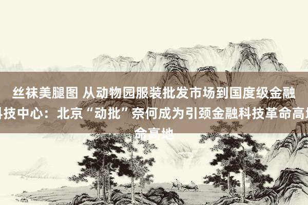 丝袜美腿图 从动物园服装批发市场到国度级金融科技中心：北京“动批”奈何成为引颈金融科技革命高地