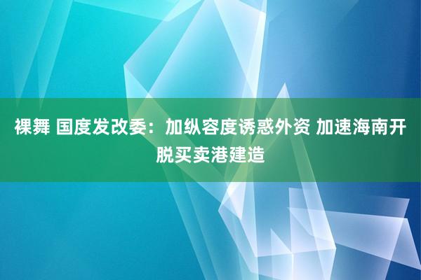 裸舞 国度发改委：加纵容度诱惑外资 加速海南开脱买卖港建造