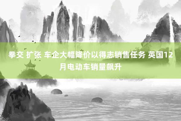 拳交 扩张 车企大幅降价以得志销售任务 英国12月电动车销量飙升