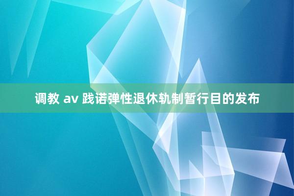 调教 av 践诺弹性退休轨制暂行目的发布