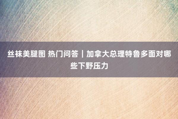 丝袜美腿图 热门问答｜加拿大总理特鲁多面对哪些下野压力