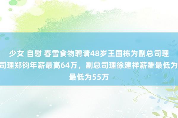 少女 自慰 春雪食物聘请48岁王国栋为副总司理，总司理郑钧年薪最高64万，副总司理徐建祥薪酬最低为55万