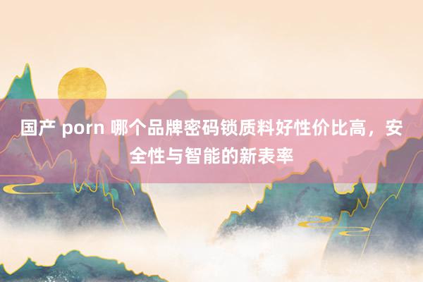 国产 porn 哪个品牌密码锁质料好性价比高，安全性与智能的新表率