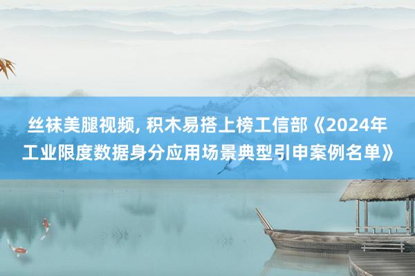 丝袜美腿视频， 积木易搭上榜工信部《2024年工业限度数据身分应用场景典型引申案例名单》