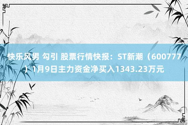 快乐风男 勾引 股票行情快报：ST新潮（600777）1月9日主力资金净买入1343.23万元