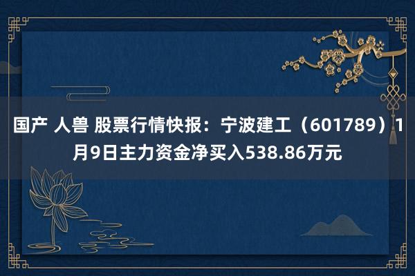 国产 人兽 股票行情快报：宁波建工（601789）1月9日主力资金净买入538.86万元