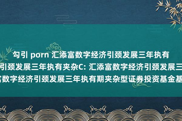 勾引 porn 汇添富数字经济引颈发展三年执有夹杂A,汇添富数字经济引颈发展三年执有夹杂C: 汇添富数字经济引颈发展三年执有期夹杂型证券投资基金基金合同