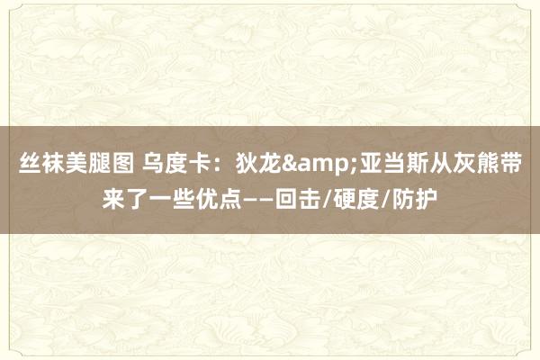 丝袜美腿图 乌度卡：狄龙&亚当斯从灰熊带来了一些优点——回击/硬度/防护