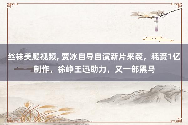 丝袜美腿视频， 贾冰自导自演新片来袭，耗资1亿制作，徐峥王迅助力，又一部黑马