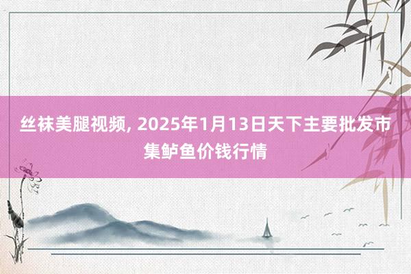 丝袜美腿视频， 2025年1月13日天下主要批发市集鲈鱼价钱行情