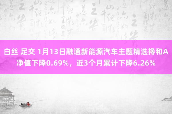 白丝 足交 1月13日融通新能源汽车主题精选搀和A净值下降0.69%，近3个月累计下降6.26%