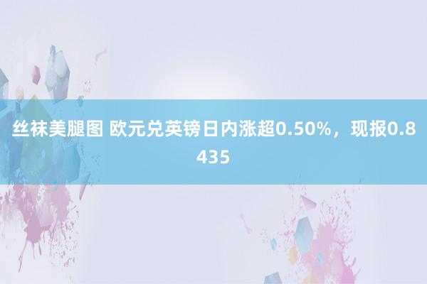 丝袜美腿图 欧元兑英镑日内涨超0.50%，现报0.8435