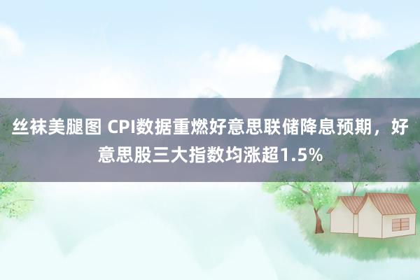 丝袜美腿图 CPI数据重燃好意思联储降息预期，好意思股三大指数均涨超1.5%