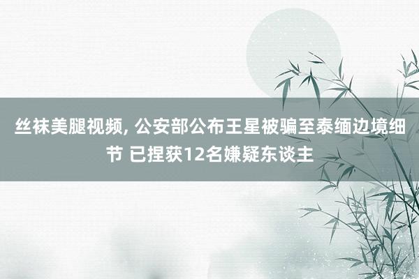 丝袜美腿视频， 公安部公布王星被骗至泰缅边境细节 已捏获12名嫌疑东谈主